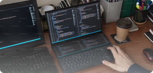 Custom Software Development